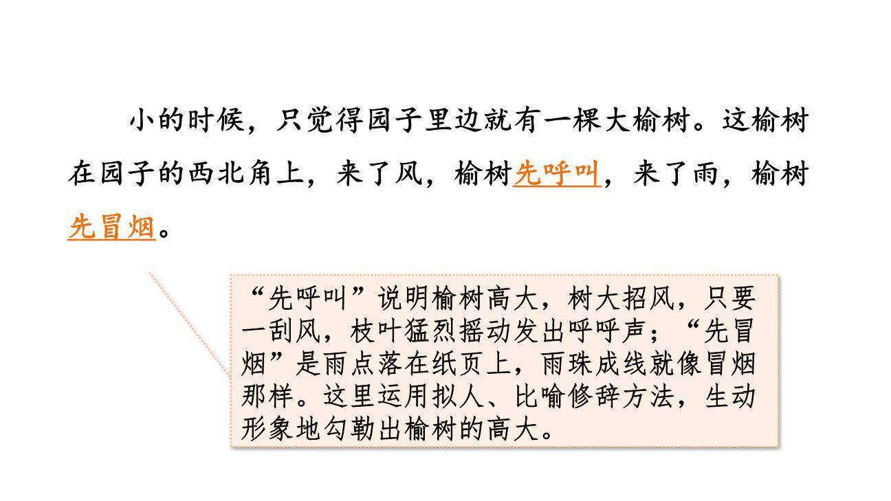 祖父的园子PPT课件32