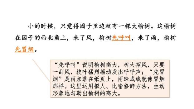 祖父的园子PPT课件32