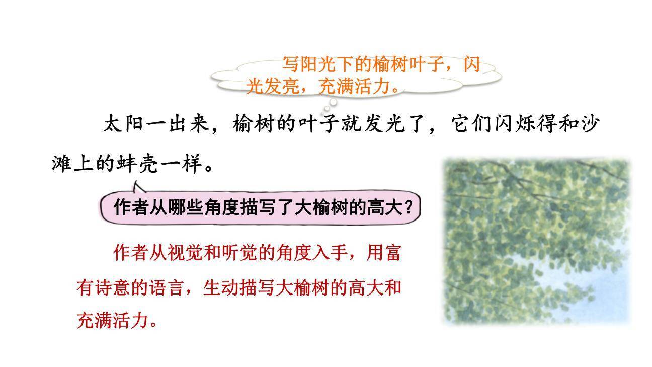 祖父的园子PPT课件33