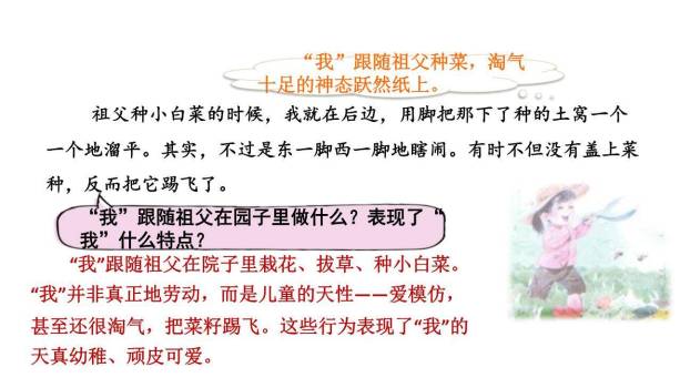 祖父的园子PPT课件37