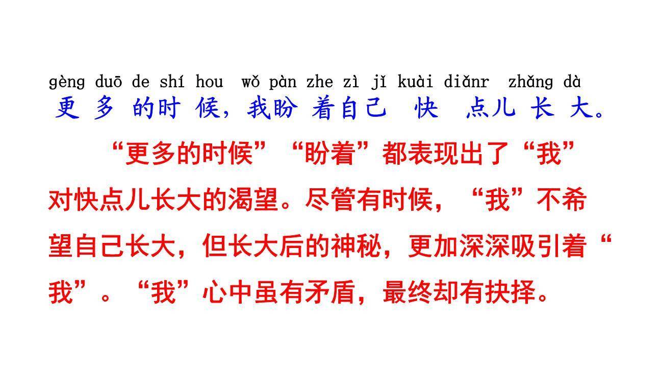 大还是小PPT课件12