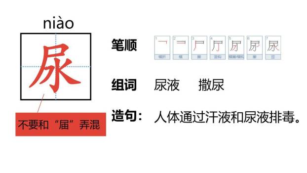 我是一只小虫子PPT课件53