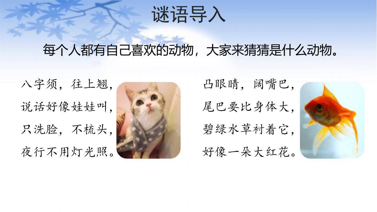 小小动物园PPT课件48