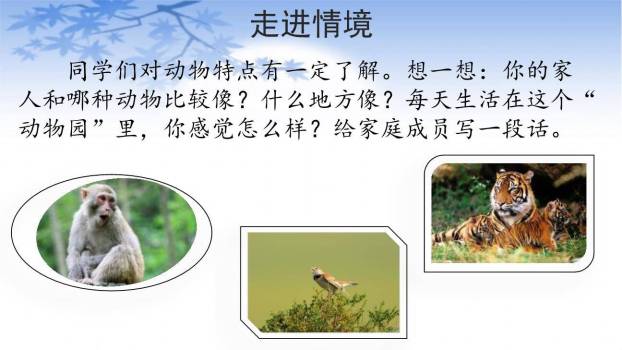 小小动物园PPT课件49