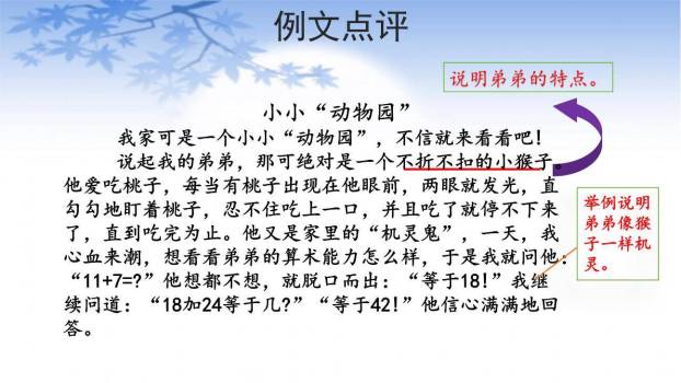 小小动物园PPT课件43