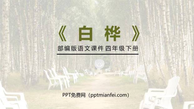 白桦PPT课件20