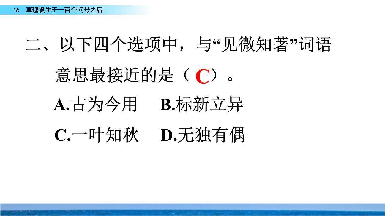真理诞生于一百个问号之后PPT课件65