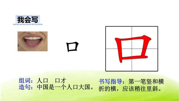 耳口目PPT课件31