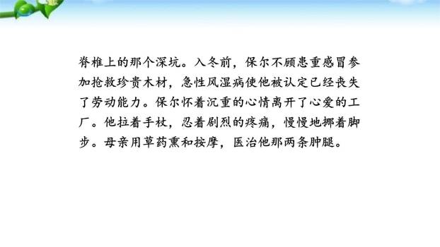 钢铁是怎样炼成的PPT课件39
