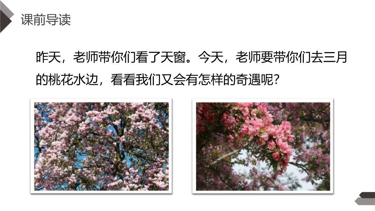 三月桃花水PPT课件16