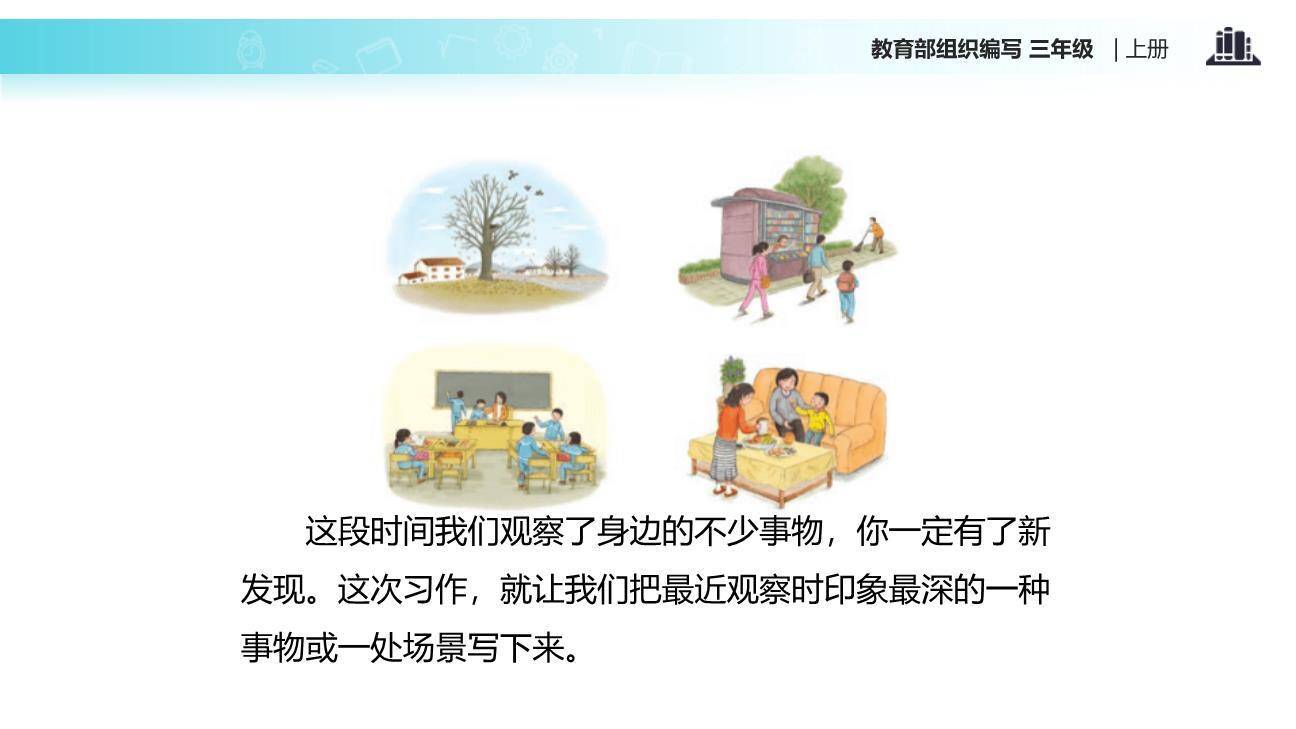 我们眼中的缤纷世界PPT课件12