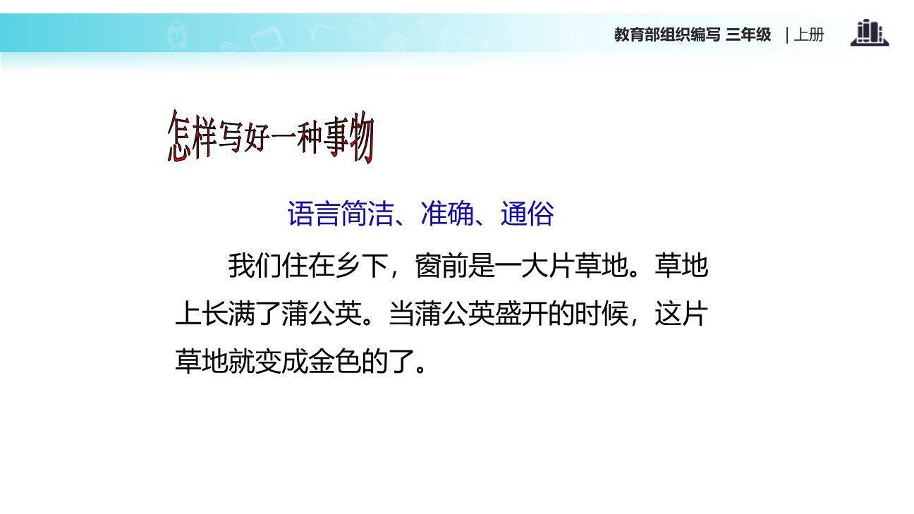 我们眼中的缤纷世界PPT课件13