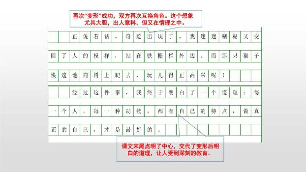 变形记PPT课件28