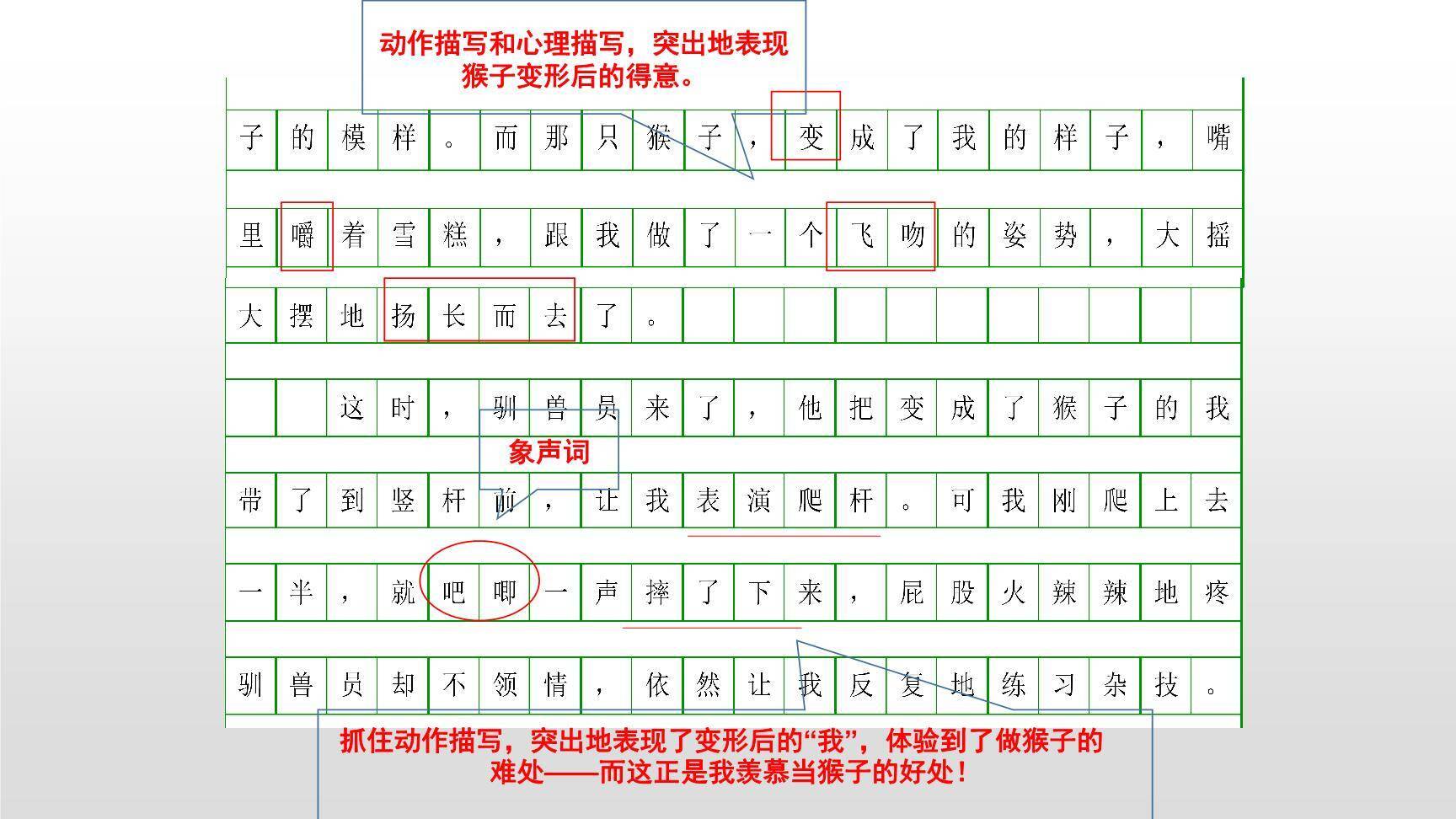 变形记PPT课件25