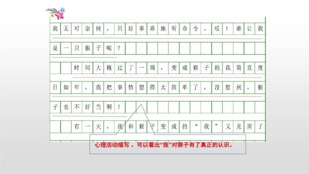 变形记PPT课件26