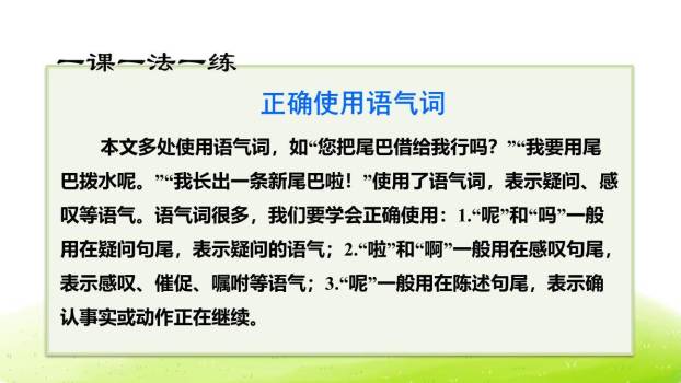 小壁虎借尾巴PPT课件69