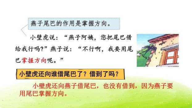 小壁虎借尾巴PPT课件62