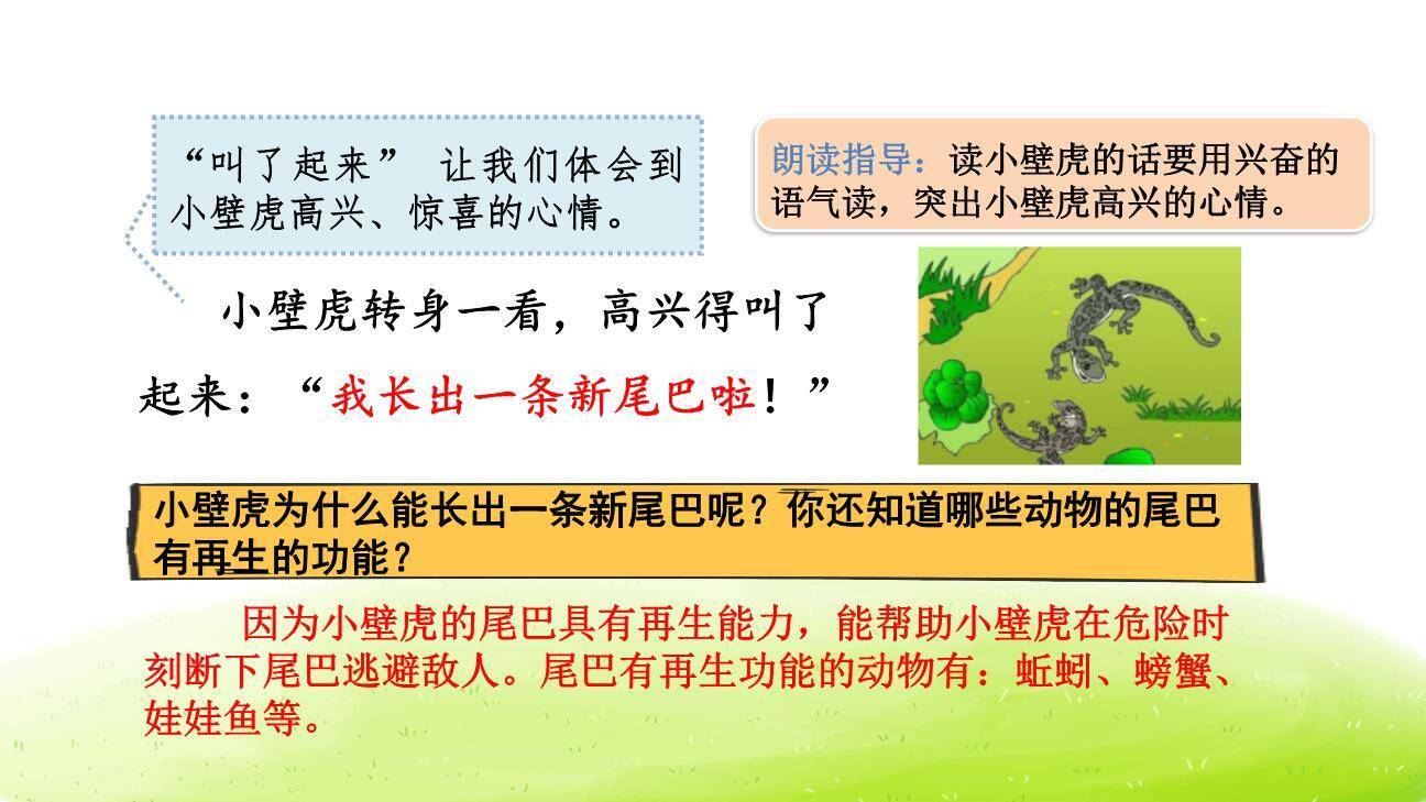 小壁虎借尾巴PPT课件66