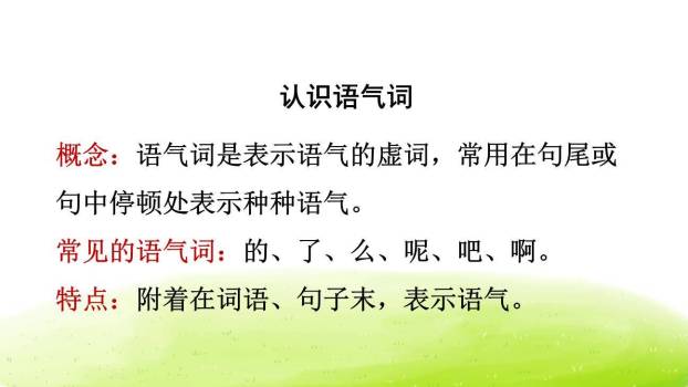 小壁虎借尾巴PPT课件67