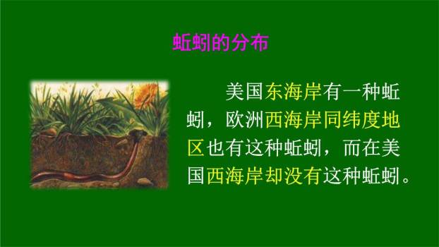 真理诞生于一百个问号之后PPT课件55