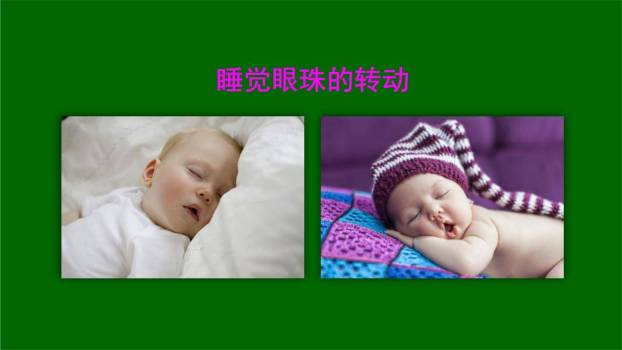 真理诞生于一百个问号之后PPT课件56