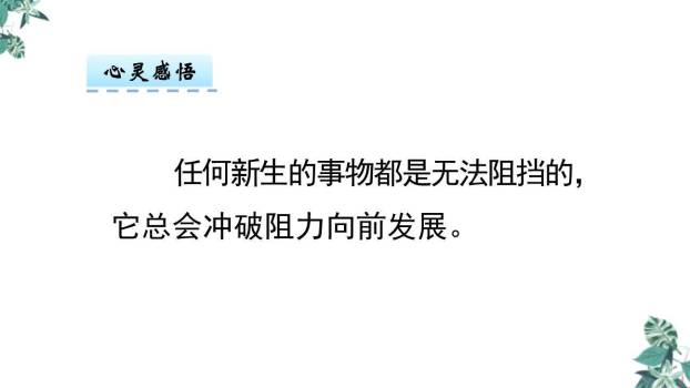 游园不值PPT课件25