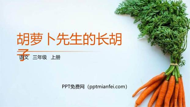 胡萝卜先生的长胡子PPT课件60