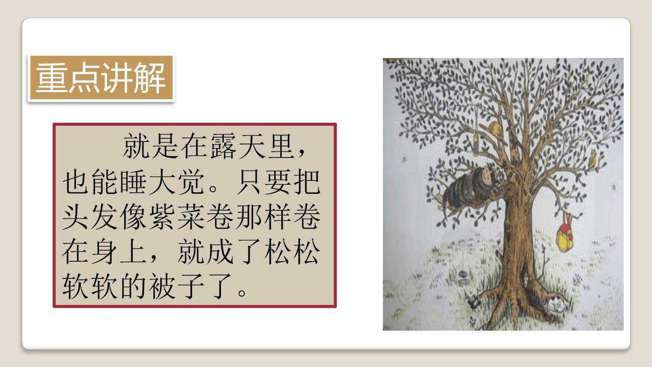 小真的长头发PPT课件75