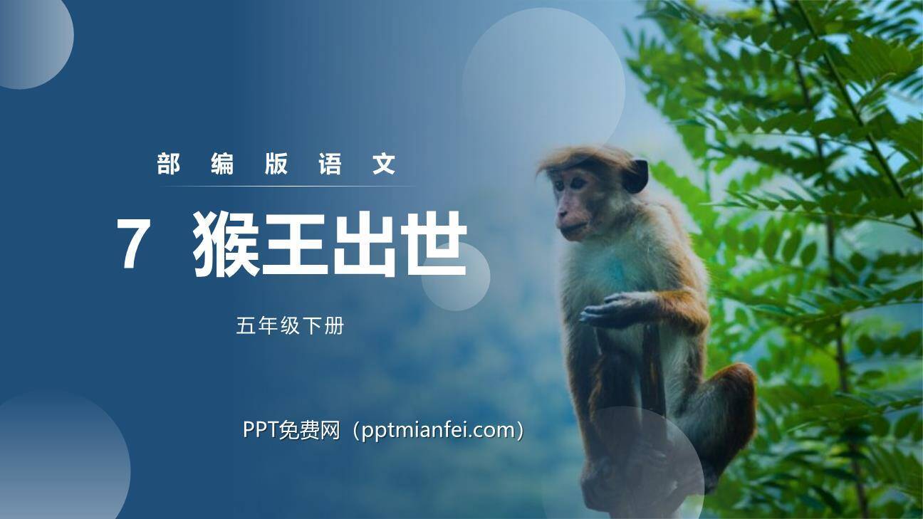 猴王出世PPT课件20