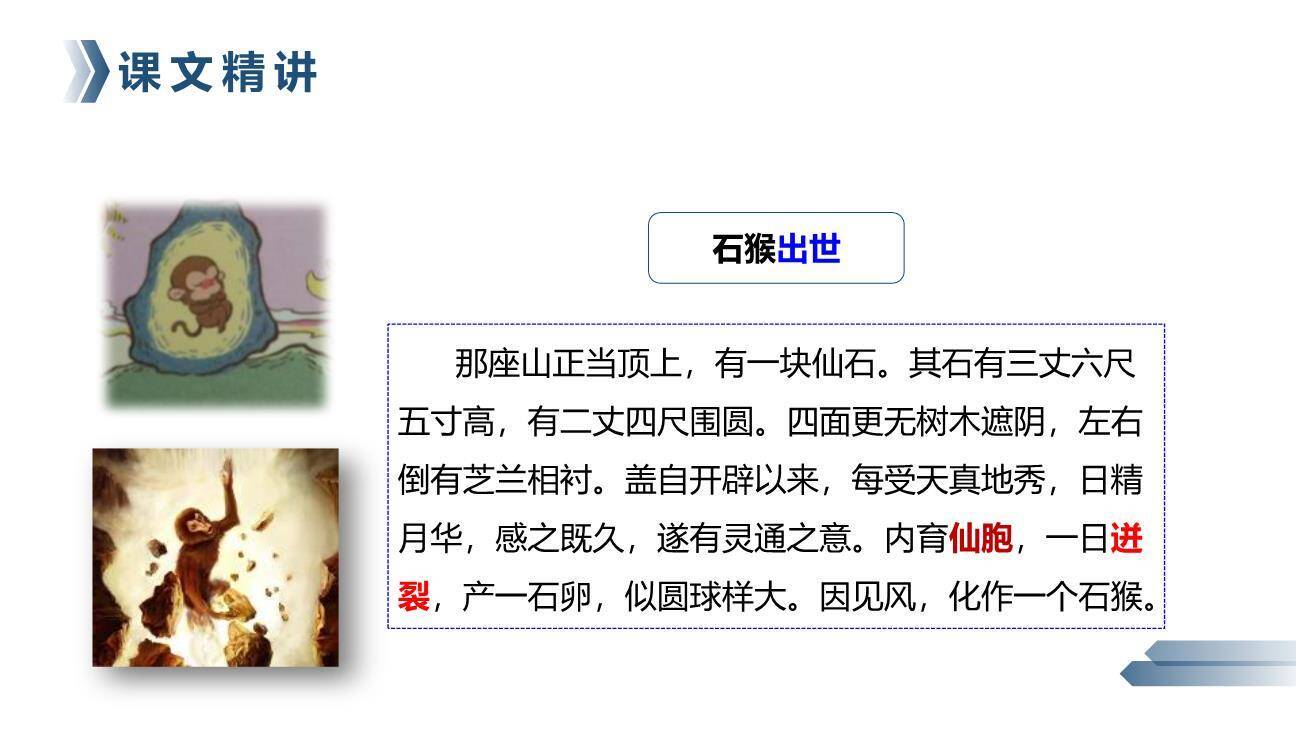 猴王出世PPT课件22