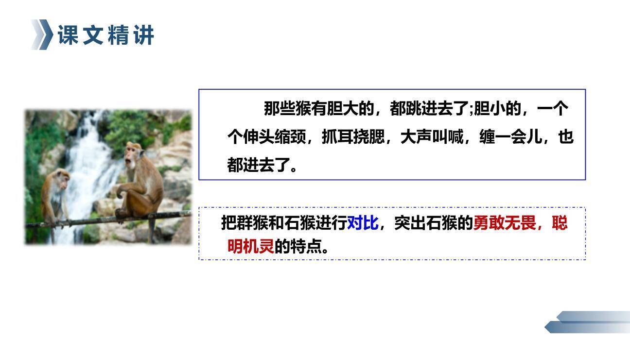 猴王出世PPT课件24