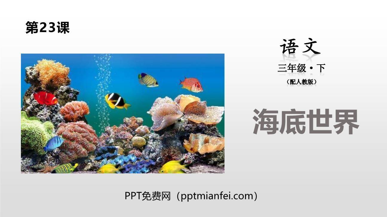 海底世界PPT课件20