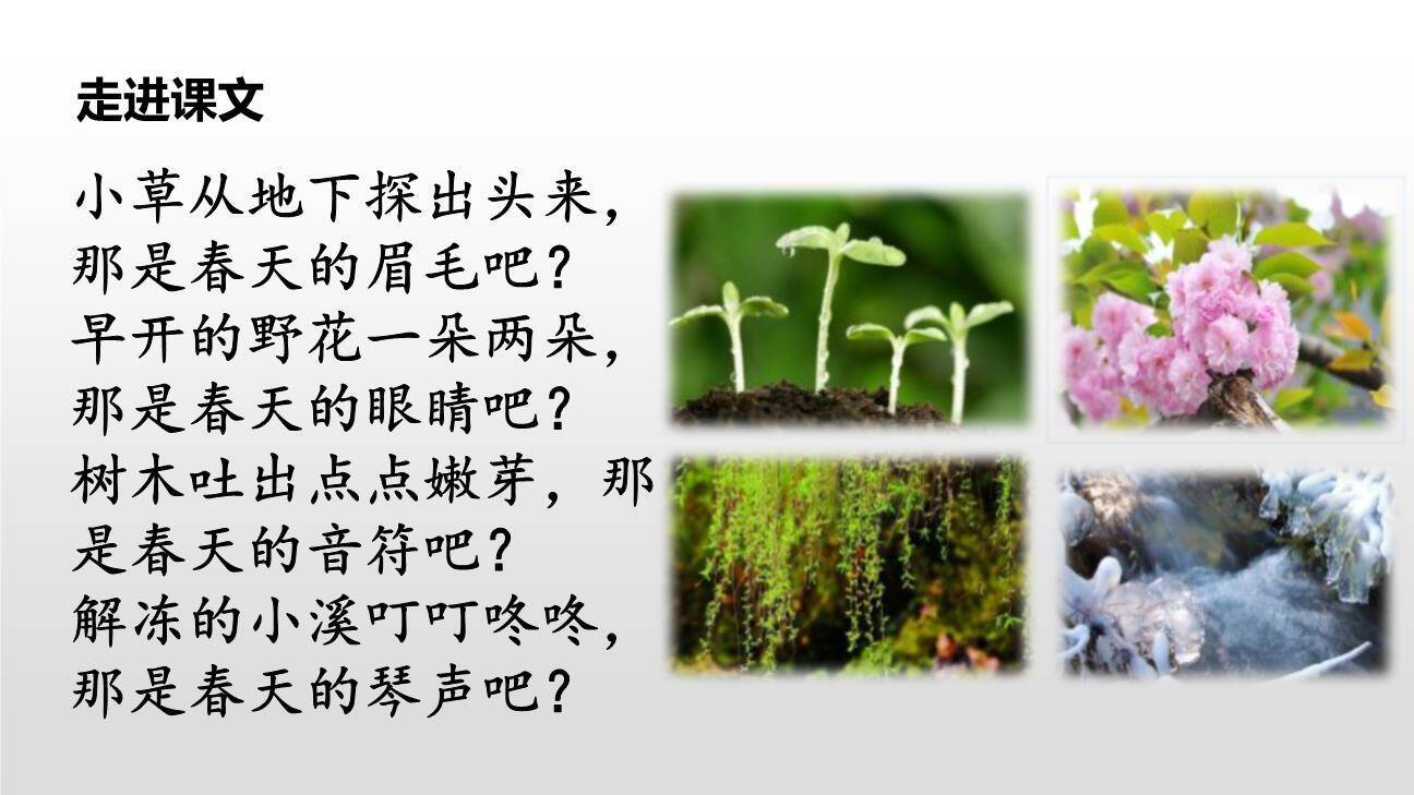 找春天PPT课件11