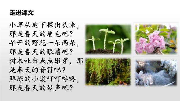 找春天PPT课件11
