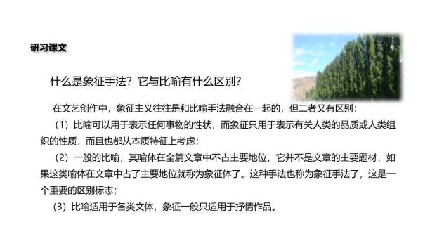 白杨礼赞PPT课件49