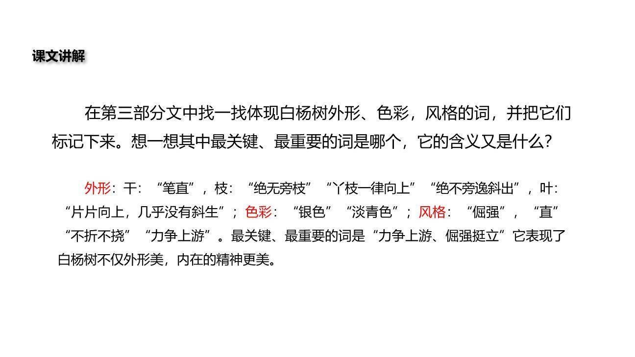 白杨礼赞PPT课件46