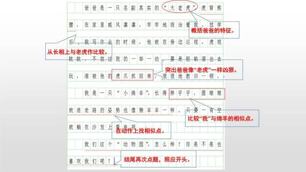 小小动物园PPT课件25