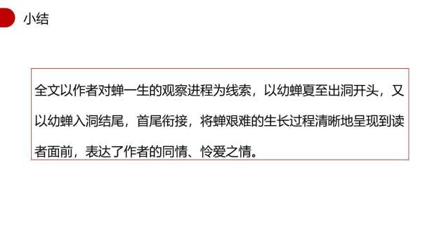 蝉PPT课件65
