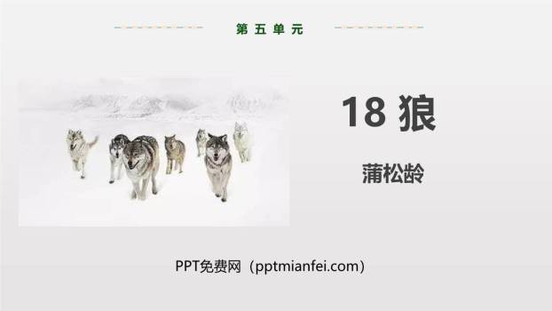 狼PPT课件60