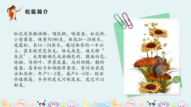 松鼠PPT课件91