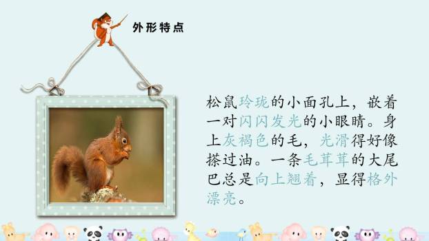 松鼠PPT课件94