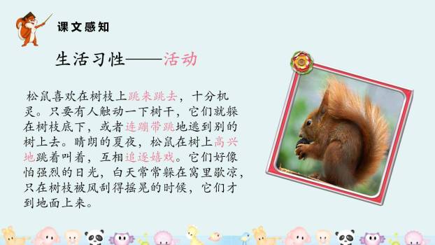 松鼠PPT课件95