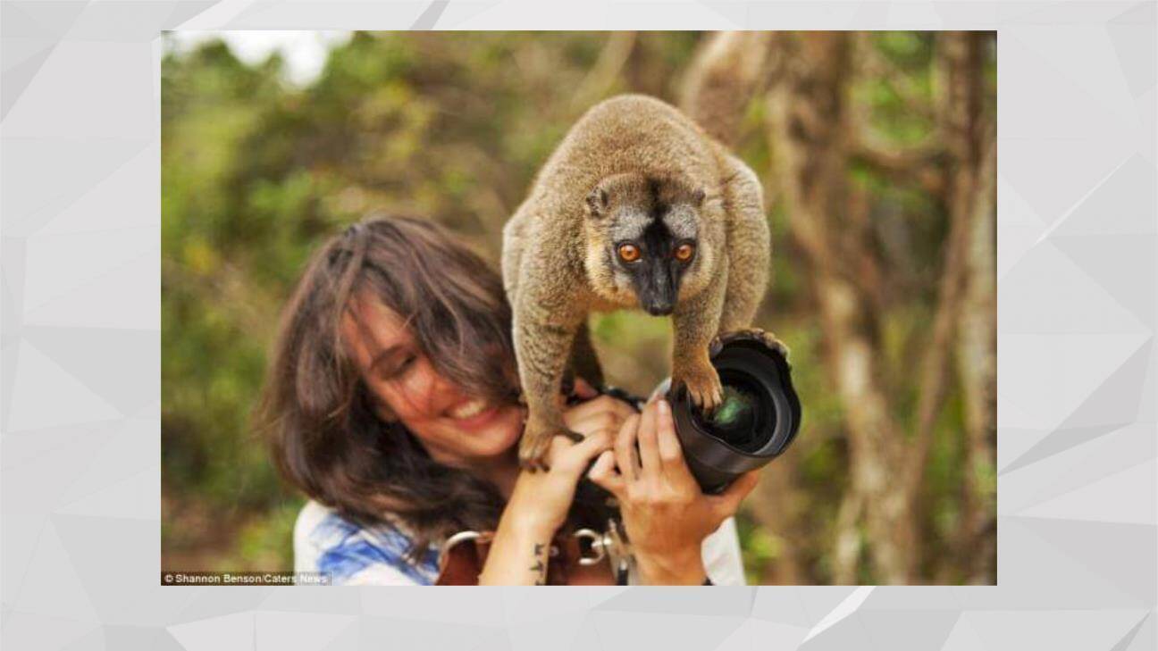 动物笑谈PPT课件59