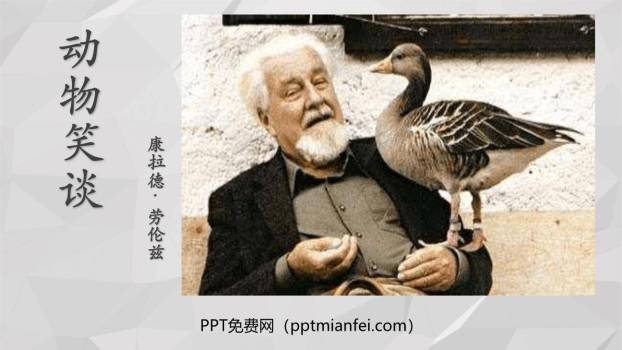 动物笑谈PPT课件50