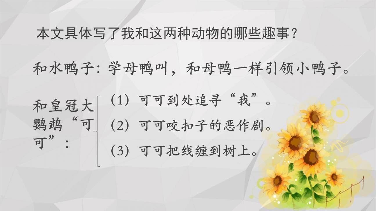 动物笑谈PPT课件53