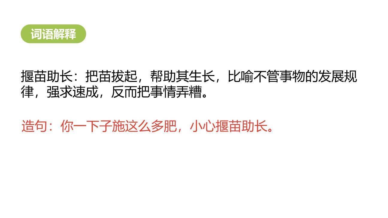 揠苗助长PPT课件23