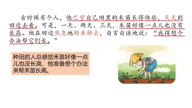 揠苗助长PPT课件27