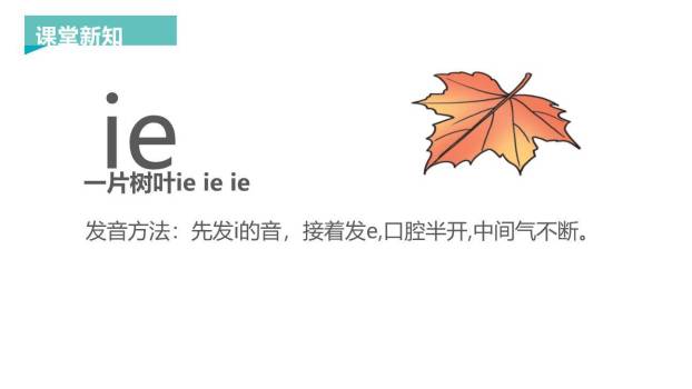 《ie üe er》PPT课件19
