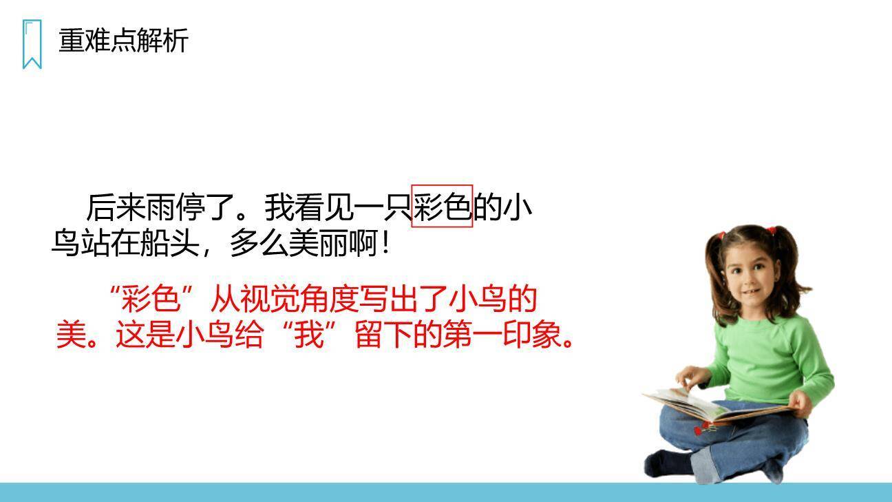 搭船的鸟PPT课件28