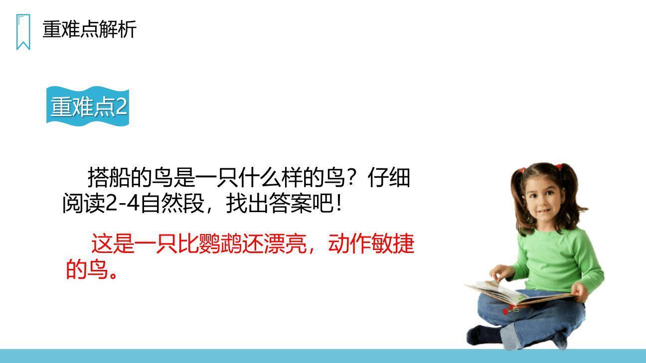 搭船的鸟PPT课件27